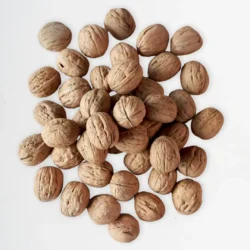 Nueces cascara país