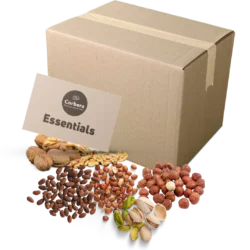 ESSENTIALS Box