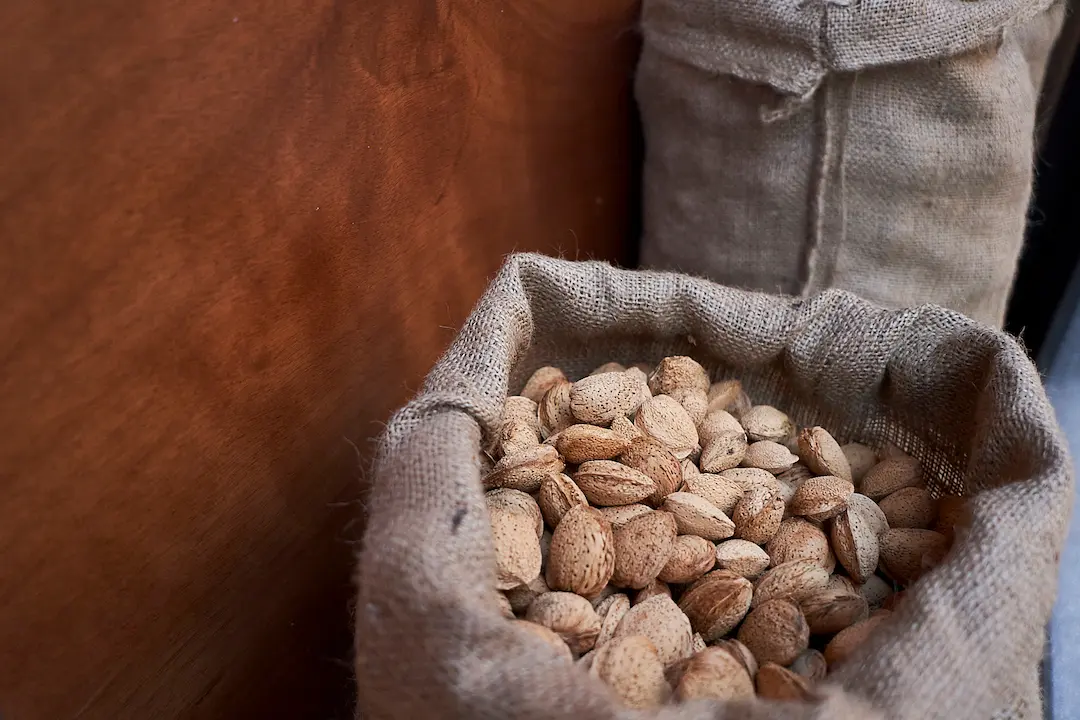 sacos de frutos secos al por mayor